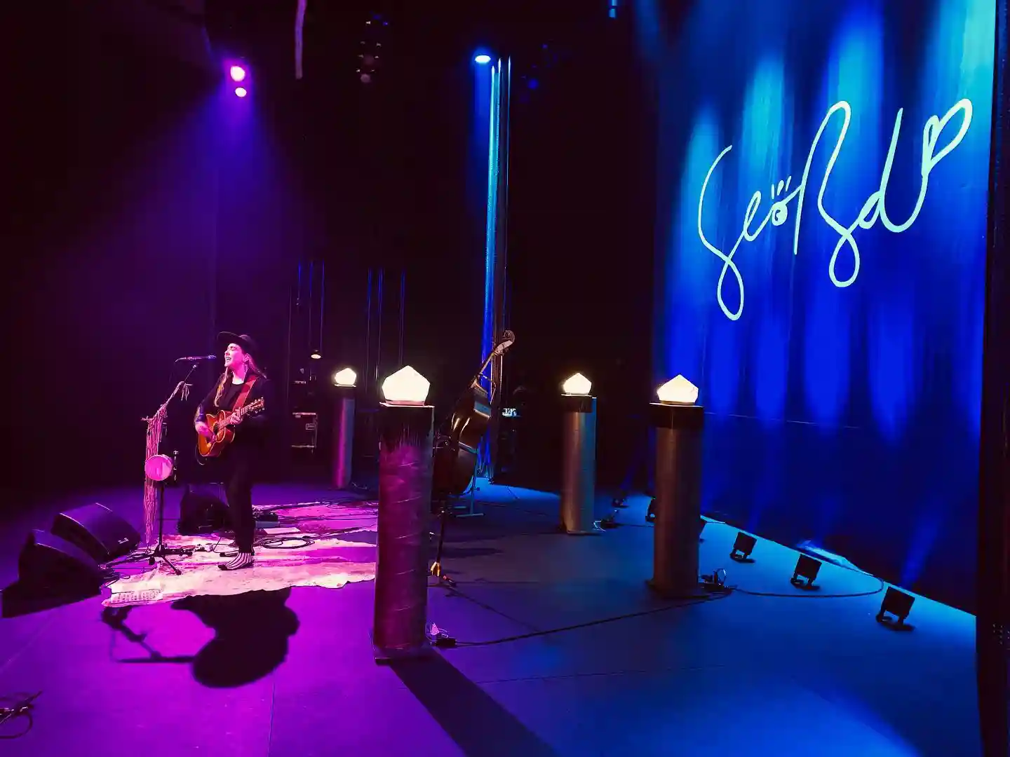 performance of serena ryder